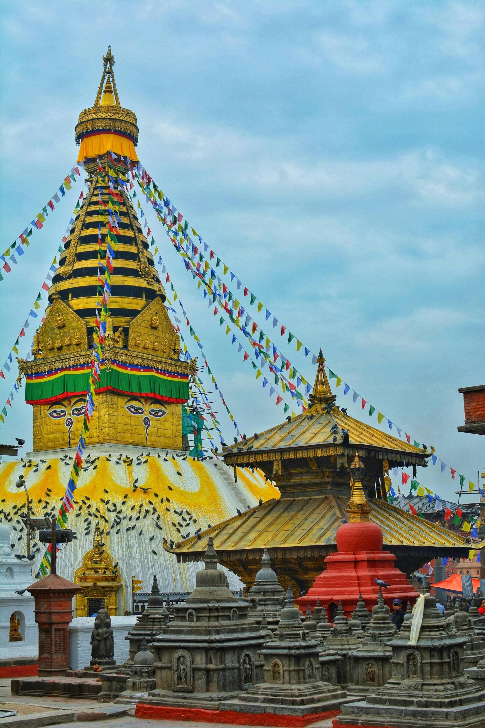 Nepal Visa